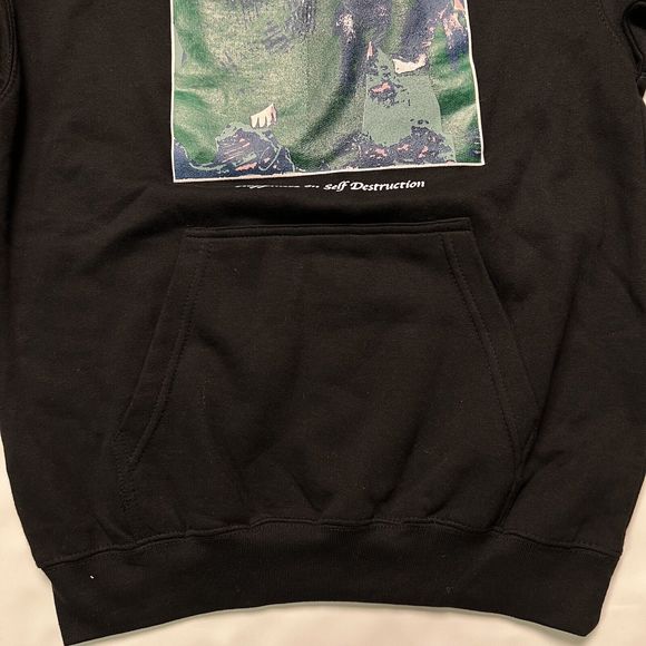 The Plot In You Happiness In Self Destruction Hoodie Sweatshirt Small Black - Picture 5 of 13